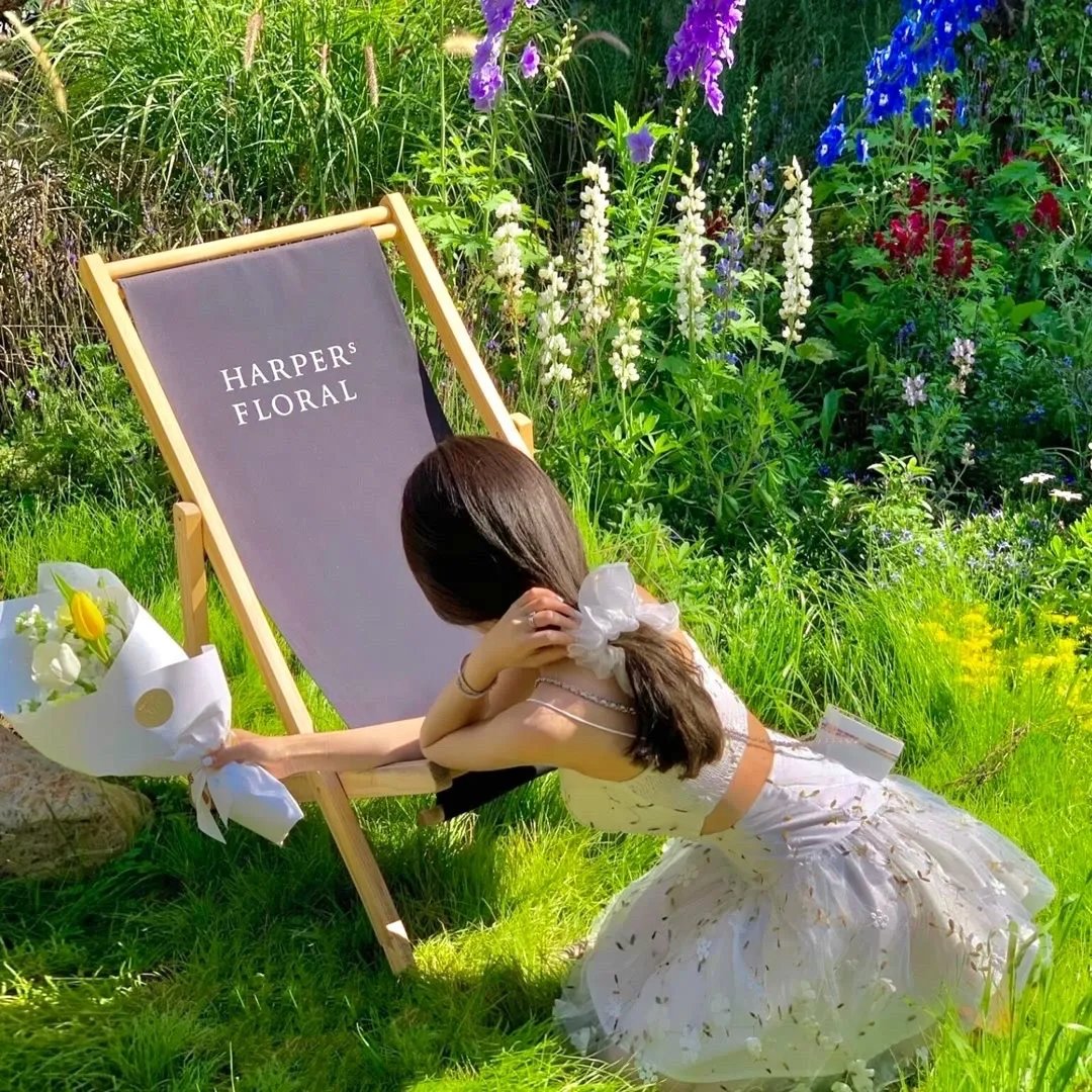 进击的皇后之真假皇后